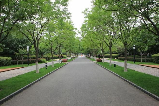 英国正版365官方网站 -首页入口